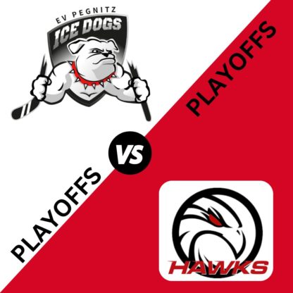 EV Pegnitz ICE DOGS vs. Hassfurt HAWKS Viertelfinale 28.02.2025 19:30